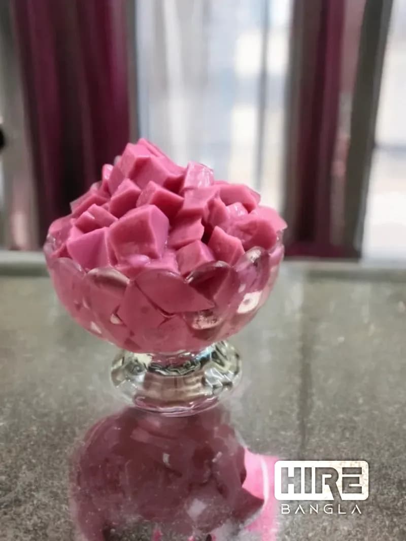 HireBangla - Find Trusted Businesses and Professionals in Bangladesh