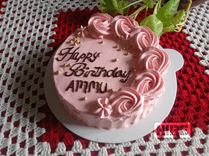 HireBangla - Find Trusted Businesses and Professionals in Bangladesh