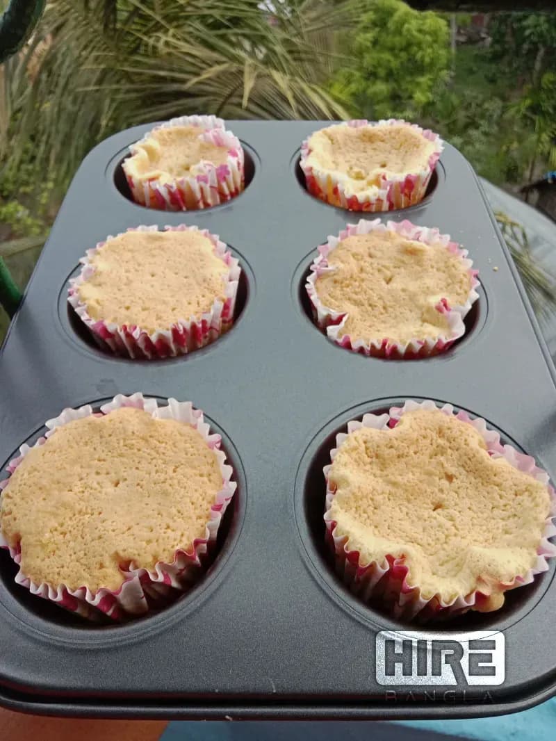 HireBangla - Find Trusted Businesses and Professionals in Bangladesh